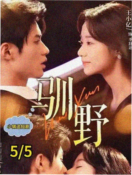 心理惊悚剧镜中之人海报